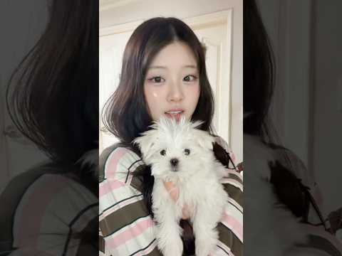 아이콘
