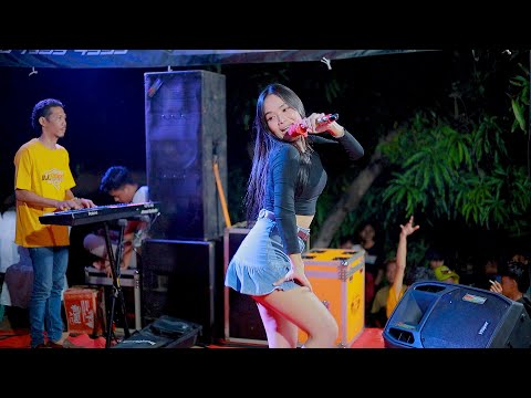 KDK MUSIC - SEBOTOL MINUMAN - FEBY PESEK - WEDDING PARTY AJI & CINDY - MLONGGO