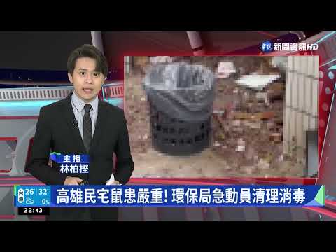 高雄民宅鼠患嚴重! 環保局急動員清理消毒