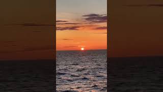 Neil Young-California Sunset