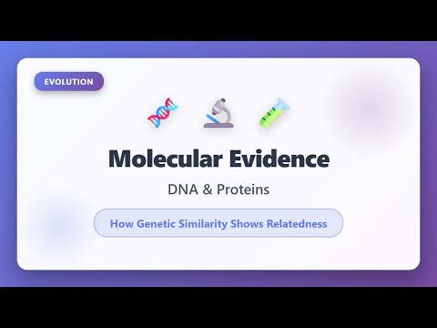 Molecular Evidence Of Evolution