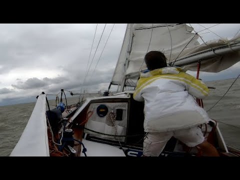 NESCIO - ein Waarschip 730