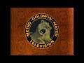 Metro Goldwyn Mayer Television 1965