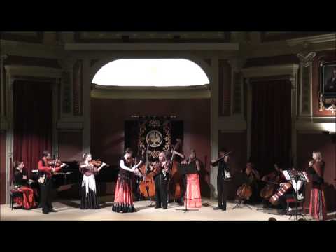 Violons Tziganes - O Pilo