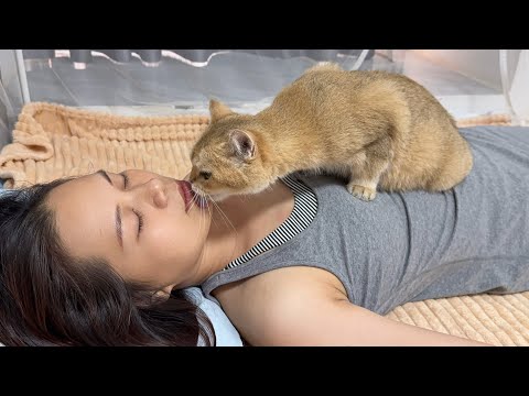 YouTube 썸네일