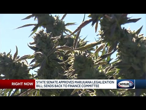 State Senate approves marijuana bill; sends back to finance committee