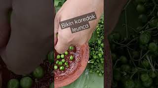 Download lagu BIKIN KAREDOK LEUNCA BIKIN NAMBAH NASI #karedok #karedokleunca #shortvideo mp3 Download lagu BIKIN KAREDOK LEUNCA BIKIN NAMBAH NASI #karedok #karedokleunca #shortvideo mp3