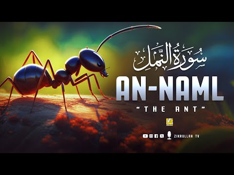 Peaceful recitation of Surah An-Naml سورۃالنمل | Relaxing Soft Voice | Zikrullah TV