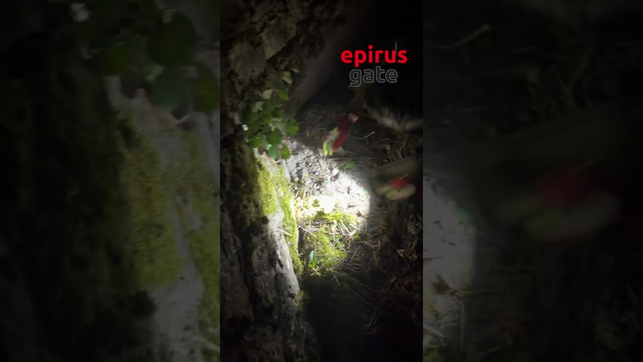 Ιωάννινα: Πυροσβεστική και Δήμος απεγκλώβισαν γατάκι από φρεάτιο ομβρίων