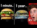 This FOOD Time Lapse Will SHOCK YOU..