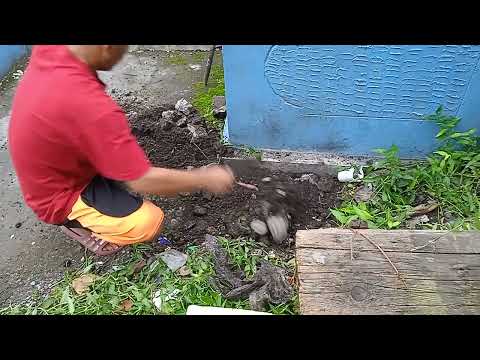 goodbye ice cream..you'll be in my heart forever baby..i love you