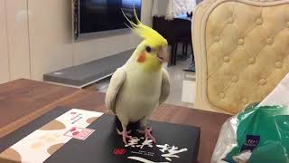 rtDNjrffsec