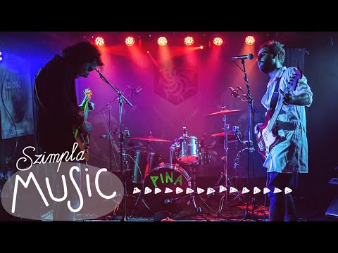 God & Monkey - Untitled @szimplakert, Lemming Program