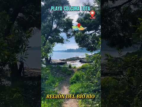 PLAYA COLCURA🇨🇱#chile #biobio #playa #biobío #turismo #viajes #airelibre #turismo #paisajes #shorts