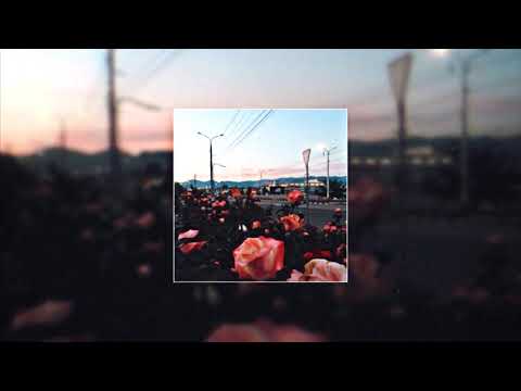 free for profit | "rosehue" - never, forever x 9tails x guardin x shinigami x hamilton x lil skele