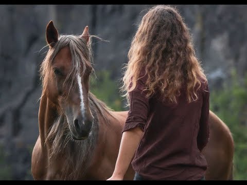 Liberty work after 3 months with Feenja [Mustang Makeover 2018]