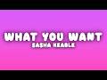 Sasha Keable Tell Me What You Want Lyrics