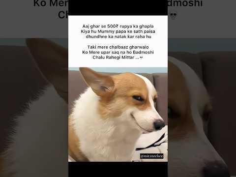 Ghapla #memes #popular #viral #funnymemes #tweetreels #ghapla