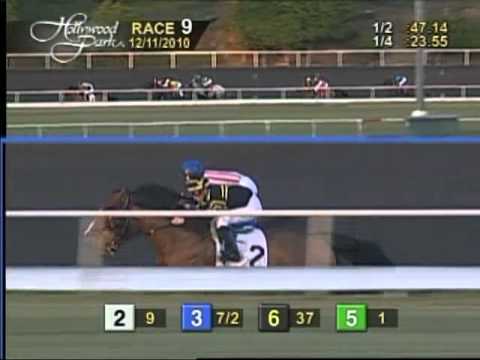 The 30th Running of the Hollywood Starlet (GI)