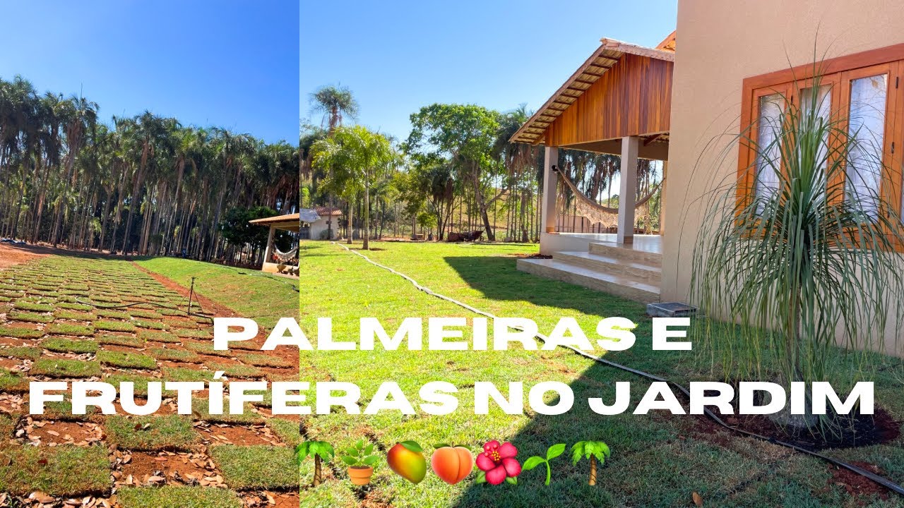 COMO FICOU LINDO  NOSSO JARDIM 🌴🥭🌺🍑🌱🌴🌷/ PLANTAMOS VÁRIAS PALMEIRAS! AH TBM FRUTÍFERAS!