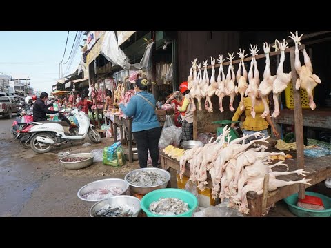 Morning Food Market Scene @Phsa Prek Phnov - Walk Around Street Food at Prek Phnov Market