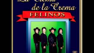 Los  Felinos   Lapiz  Labial