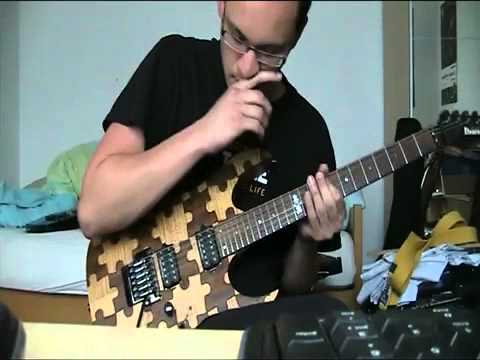 Necrophagist - Symbiotic in Theory solo (Fuck You And Die - cover - Tobias Schuler)