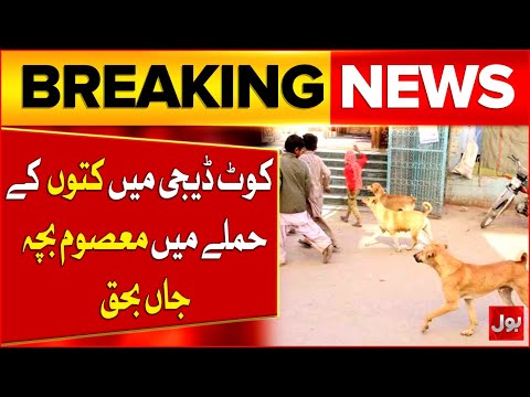 Dog Bite Incidents | Innocent Child D**ies | Breaking News