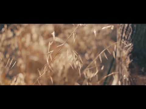 melody senja/cinta seorang musisi