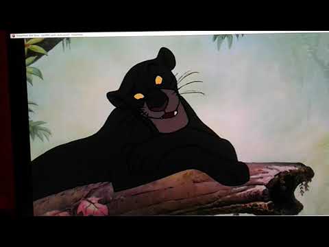 "Kung Fu Pig" Part 13 - Bagheera's Death