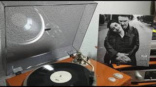 The Shining of Things - David Sylvian