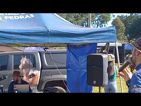 Égua de Marcha Picada.  IV COPA DE MARCHA DE CÓRREGO FUNDO-MG. 