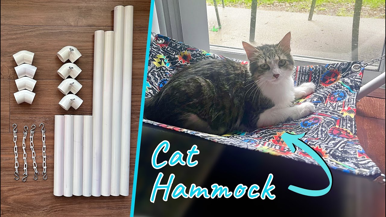 Show Your Cat Some Love: Purrfectly Clever Cat Hacks