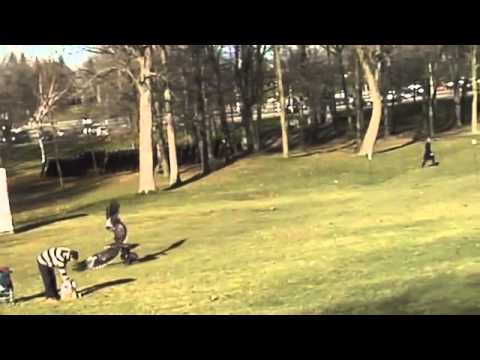 Águia Real tenta apanhar criança