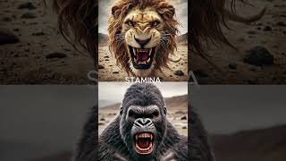 Download lagu Gorilla vs Lion. Who Wins? mp3