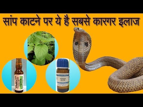 सांप काटने पर तुरंत दे ये दवाई | Saap Katne Ka Ilaj | Treatment of Snakebite in Hindi Video