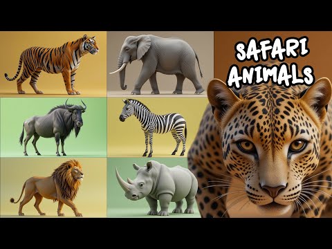 Safari Animal Sounds Song | Nursery Rhyme for Kids - Learn Animal Names and Sounds