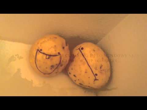 The attack of the potatoes!