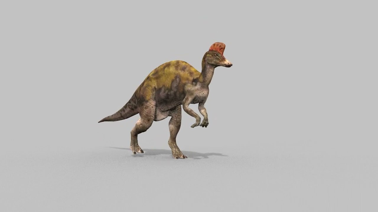 Real Animated Corythosaurus HD 3D Model