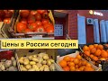 ЦЕНЫ В РОССИИ СЕГОДНЯ НА ПРОДУКТЫ ПИТАНИЯ / МАГАЗИН ДИКСИ