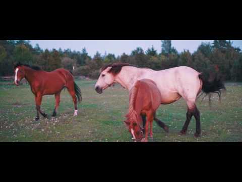 Erki Pärnoja - NEW SINGLE Doors Dance (album art making of video)