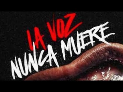 Mi Niña Consentida - Kevin Ice x Barbel (Audio Oficial)