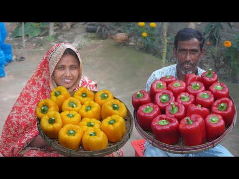 Amazing Stuffed Bell Pepper Rings Recipe CAPSICUM RINGS Quick & Easy Evening Snacks RAMADAN SPECIAL!