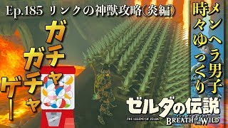 【DLC 英傑たちの詩】最後の試練スタート！リンクの神獣攻略するぞ！ 最後の試練その1 -Part185- 【ゼルダの伝説BotW実況】【ブレスオブザワイルド 実況プレイ】