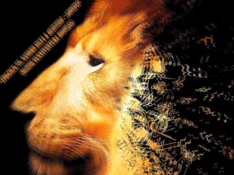 Afrojack vs. Sandro Silva & Quintino -LionEpic (Buztie & Sunnyventura Bootleg)