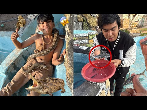 Talli Pr Wild Animals Chor Dea 😱 Shark Ka Baby Pakar Liya 😮