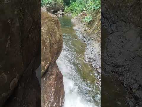 Arataca Bahia, cachoeira Pitu de ouro