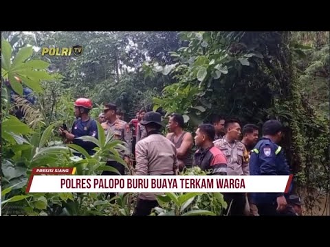 POLRES PALOPO BURU BUAYA TERKAM WARGA