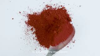 Confession Red 0: 100% Carmine-Free | Hourglass Cosmetics