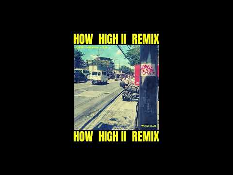 Woozi Club - HOW HIGH 2 WOO REMIX (ft. Suede Tarantino, WAEWOAH & OLIM)